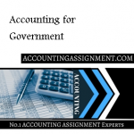 Accounting for Government